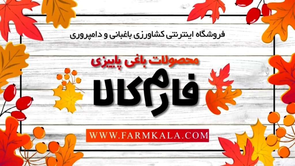 محصولات پاییزی باغبانی فروشگاه اینترنتی کشاورزی باغبانی فارم کالا محصولات پاییزی باغبانی فروشگاه اینترنتی کشاورزی باغبانی فارم کالا