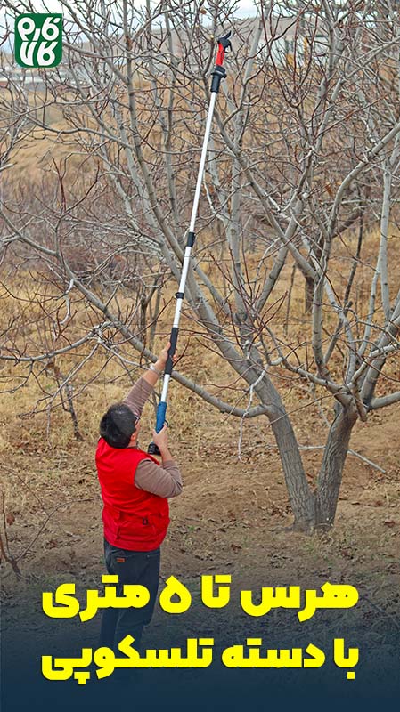 هرس تا ارتفاع 5 متری با دسته تلسکوپی - راهنمای خرید قیچی هرس شارژی