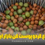 انواع گردو پوست کن - انواع دستگاه گردو پوست کن - معرفی گردو پوست کن - بهترین گردو پوست کن بازار