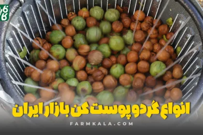 انواع گردو پوست کن - انواع دستگاه گردو پوست کن - معرفی گردو پوست کن - بهترین گردو پوست کن بازار