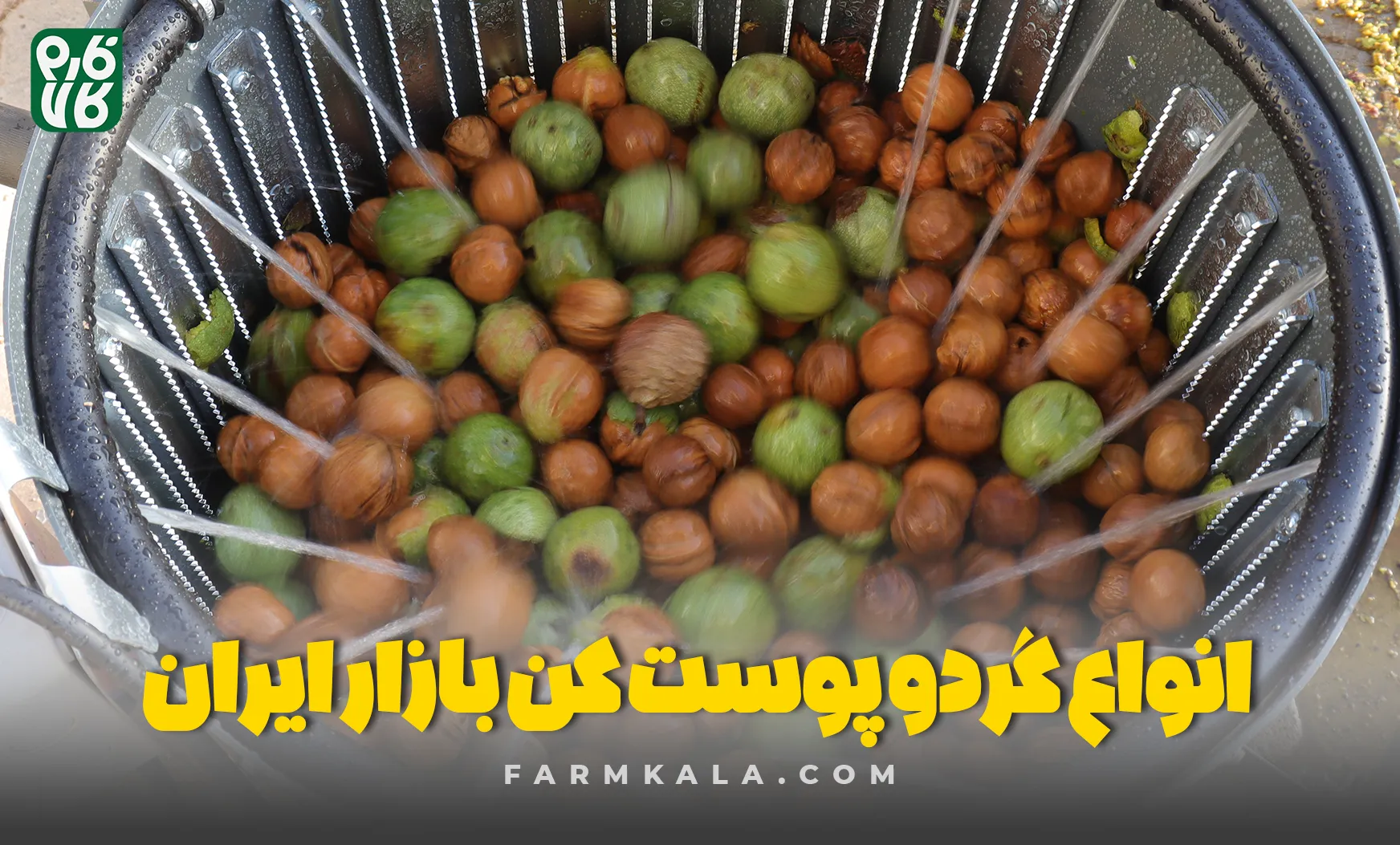 انواع گردو پوست کن - انواع دستگاه گردو پوست کن - معرفی گردو پوست کن - بهترین گردو پوست کن بازار