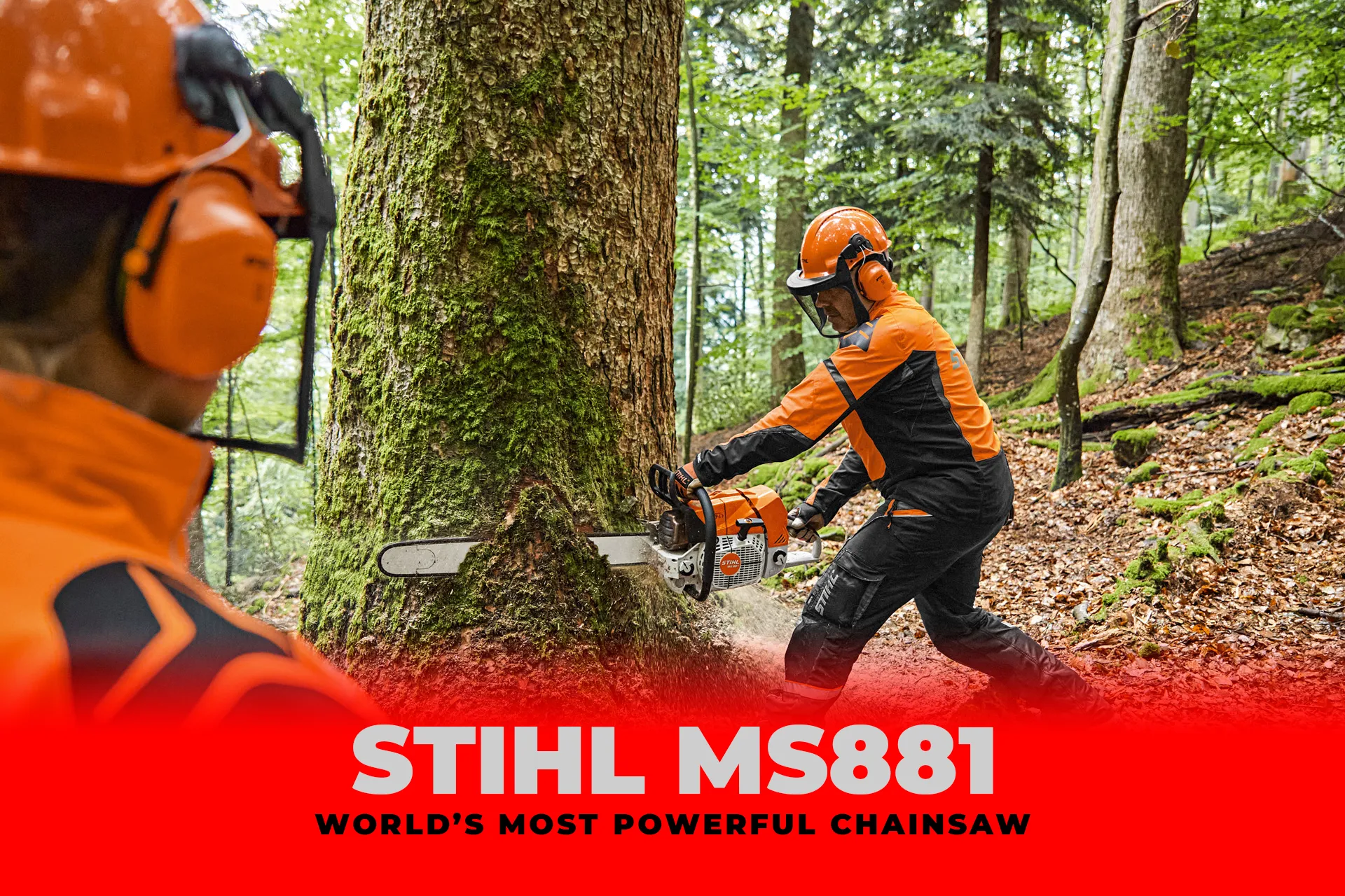Most Powerful chainsaw in the world - قوی ترین اره موتوری جهان - قوی ترین اره بنزینی دنیا - اشتیل MS 881