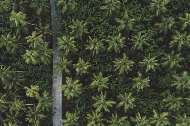 استارتاپ کشاورزی دقیق Permia Sensing | رشد پس از دریافت جایزه نوآوری