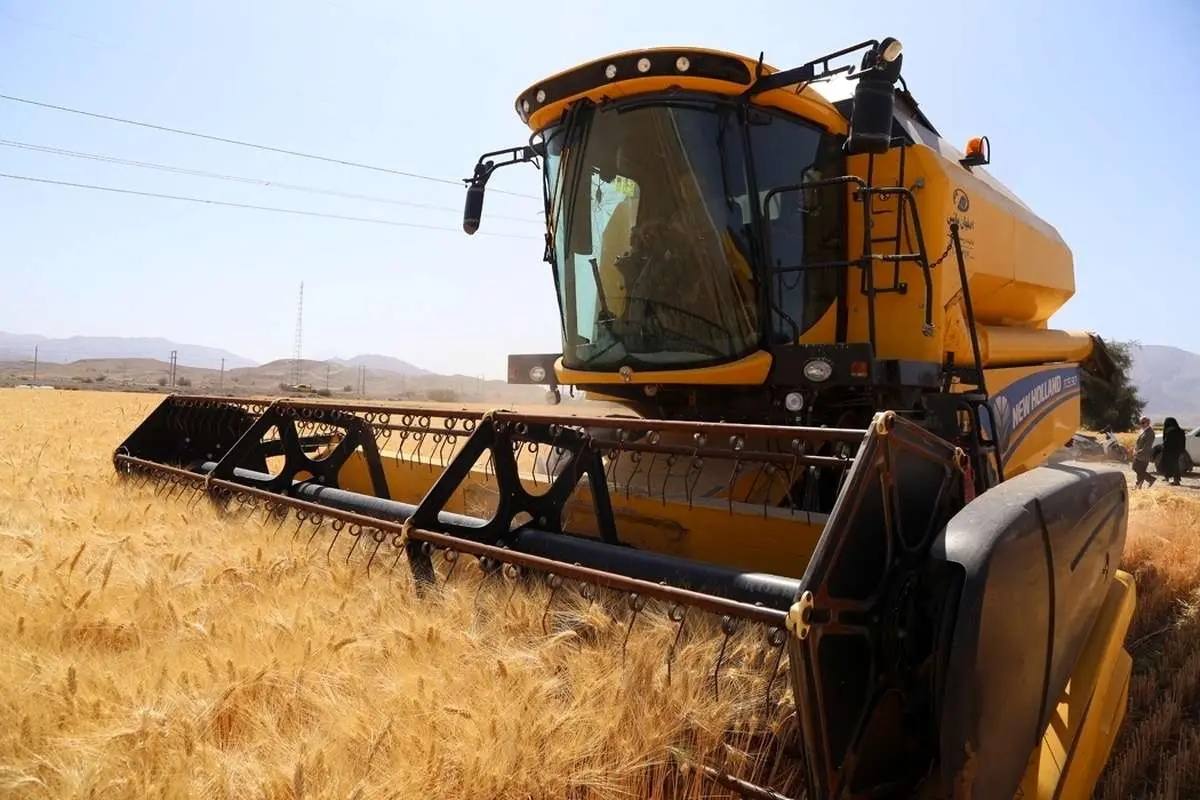 خرید تضمینی گندم - اخبار کشاورزی - اخبار باغبانی