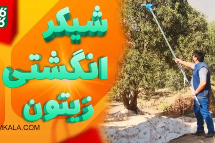 شیکر انگشتی - برداشت زیتون - زیتون - زیتون روغنی - دستگاه برداشت زیتون - خرید دستگاه برداشت زیتون - قیمت شیکر انگشتی - شیکر برداشت زیتون