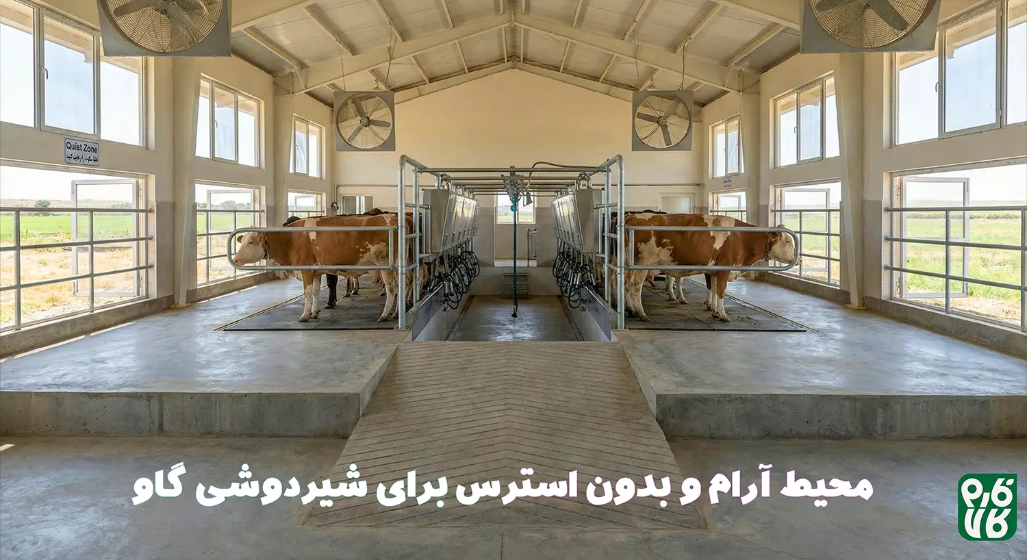 شرایط نگهداری از شیردوش - راهنمای اتصال شیردوش - شروع به کار با شیردوش گاوی - شیردوش گاوی