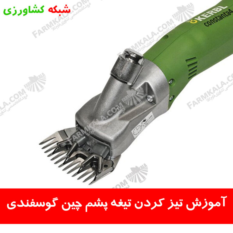 آموزش تیز کردن تیغه پشم چین