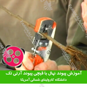 آموزش پیوند امگا با قیچی پیوند زنی آرتی تک ایتالیا
