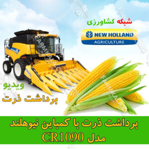 چاپر نیوهلند مدل CR10.90 در حال برداشت ذرت