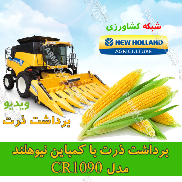 چاپر نیوهلند مدل CR10.90 در حال برداشت ذرت