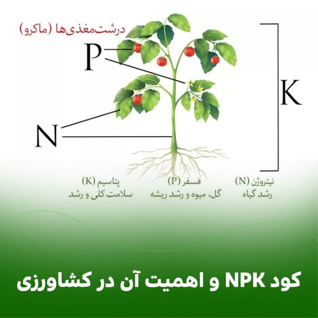 کود NPK و اهمیت آن در کشاورزی: کود NPK و اهمیت آن در کشاورزی:
