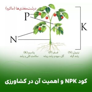 کود NPK و اهمیت آن در کشاورزی:
