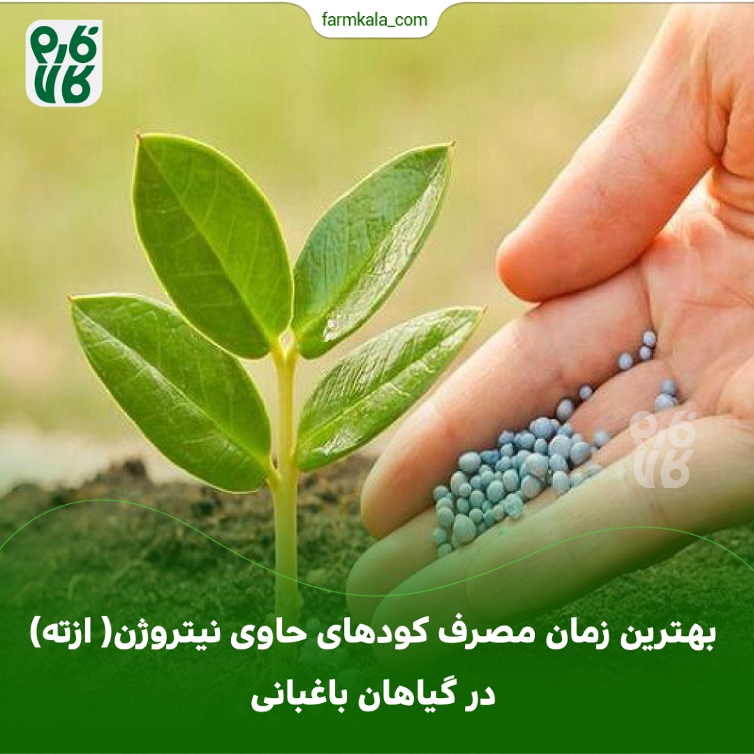 بهترین زمان مصرف کودهای حاوی نیتروژن( ازته) در گیاهان