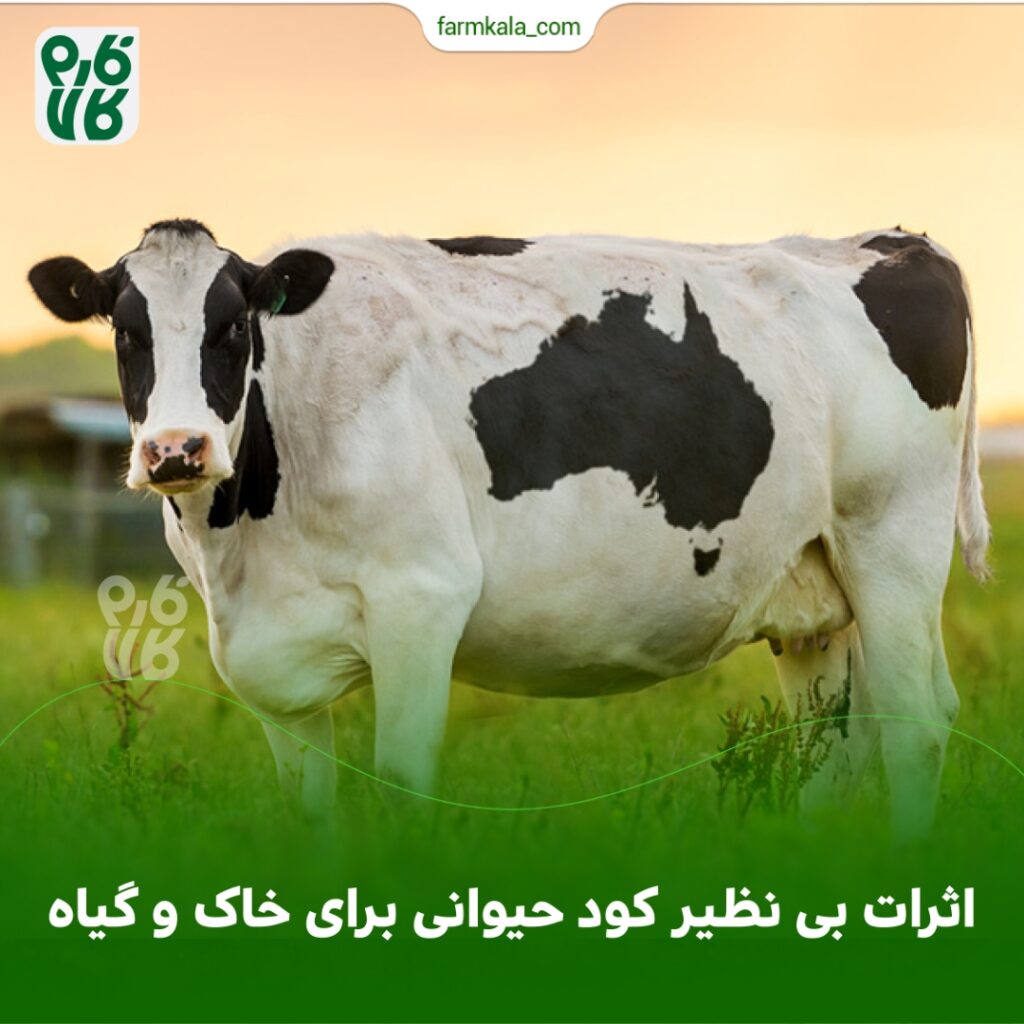 اثرات بی نظیر کود حیوانی برای خاک و گیاه