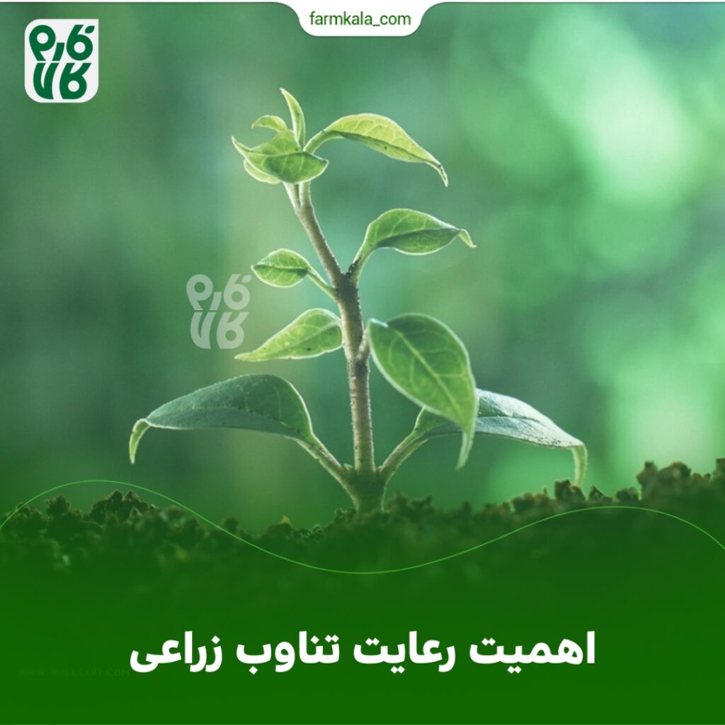 اهمیت رعایت تناوب زراعی: