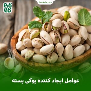 عوامل ایجاد کننده پوکی پسته