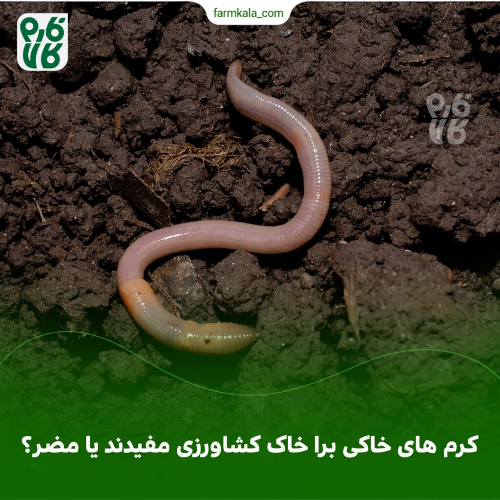 کرمهای خاکی برا خاک کشاورزی مفیدند یا مضر