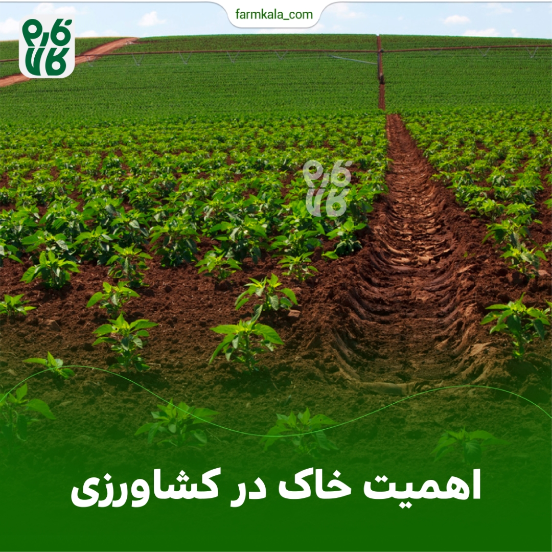 اهمیت خاک در کشاورزی