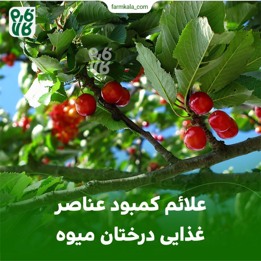 علائم کمبود عناصر غذایی درختان میوه