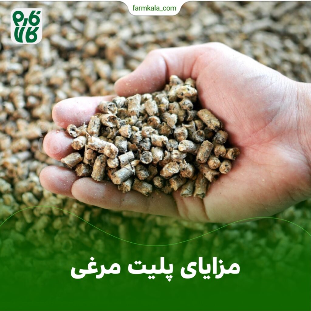 مزایای پلیت مرغی