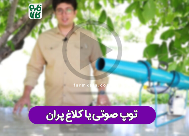 کلاغ پران یا توپ صوتی یا؟؟