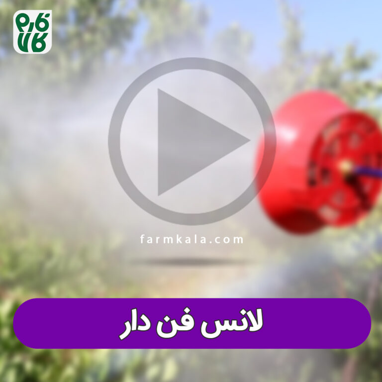 ویدیو لانس فن دار