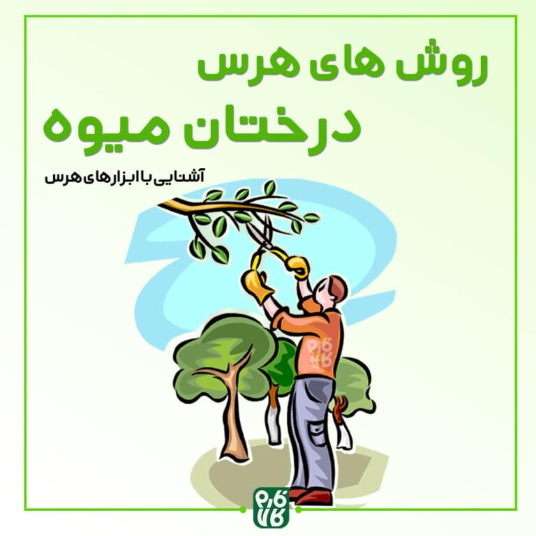 روش­های هرس درختان میوه
