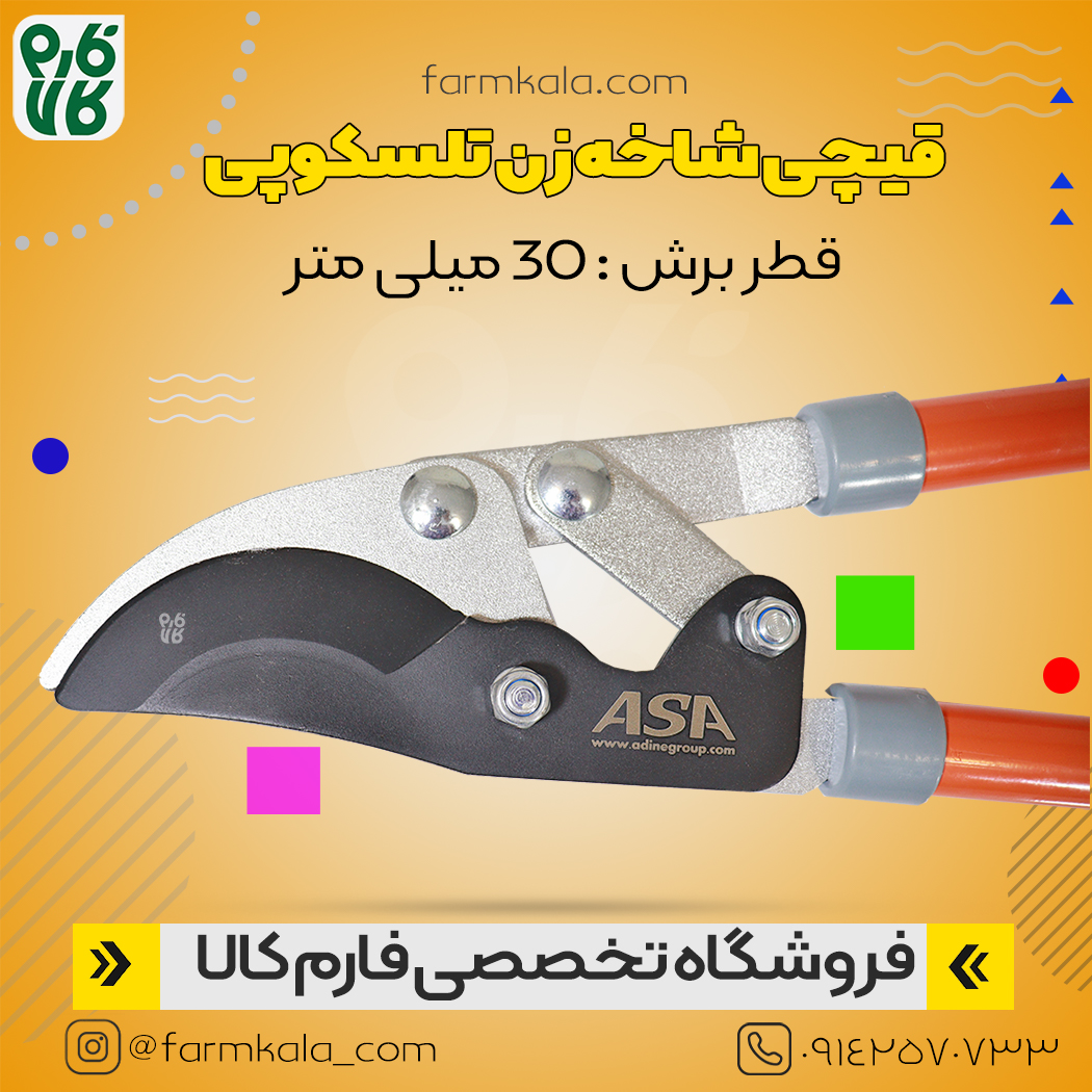 قیچی هرس دسته تلسکوپی آسا