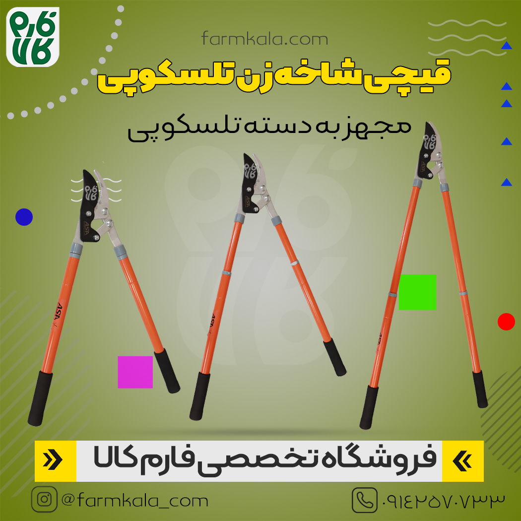 قیچی هرس دسته تلسکوپی آسا