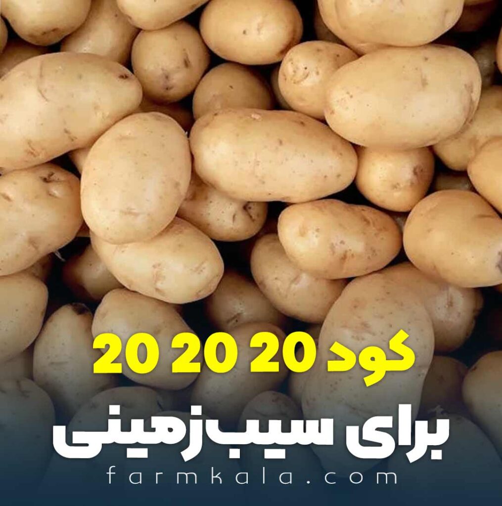 کود 20 20 20 برای سیب زمینی - کود سه بیست برای سیب زمینی -