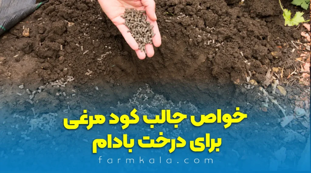 خواص کود مرغی برای بادام