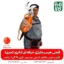 قیچی هرس شارژی- قیچی هرس شارژی حرفه ای - خرید قیچی هرس شارژی - خرید قیچی هرس شارژی حرفه ای - قیمت قیچی باغبانی حرفه ای - قیمت قیچی باغبانی هرس شارژی -خرید قیچی شارژی هرس - بهترین قیچی هرس باغبانی شارژی - هرس درختان سیب - قیچی هرس شارژی بادام - خرید قیچی هرس درجه یک - قیچی مخصوص هرس کار - بهترین هرس قیچی شارژی حرفه ای